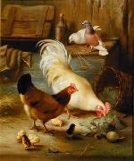 unknow artist Poultry 091 USA oil painting artist